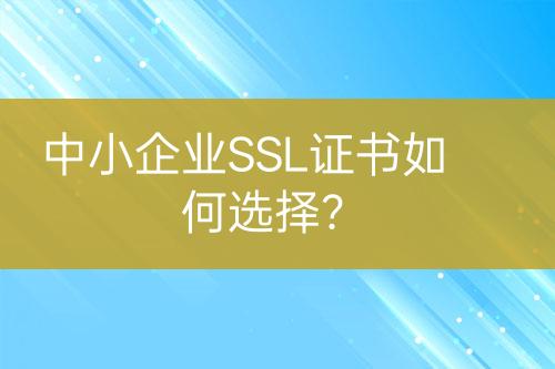 中小企業(yè)SSL證書如何選擇？