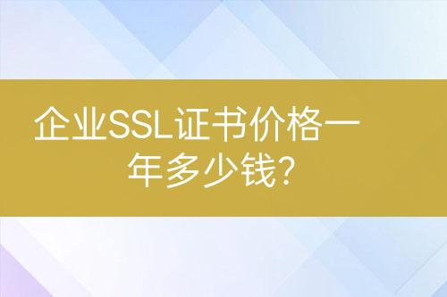 企業(yè)SSL證書價(jià)格一年多少錢？