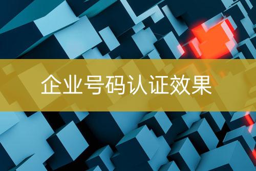 企業(yè)號碼認證效果