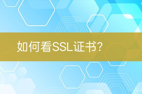 如何看SSL證書？