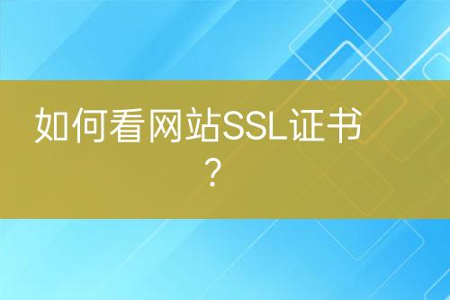 如何看網(wǎng)站SSL證書？