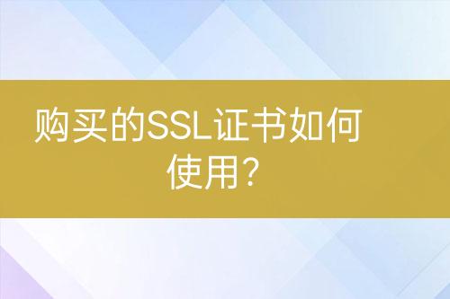 購買的SSL證書如何使用？